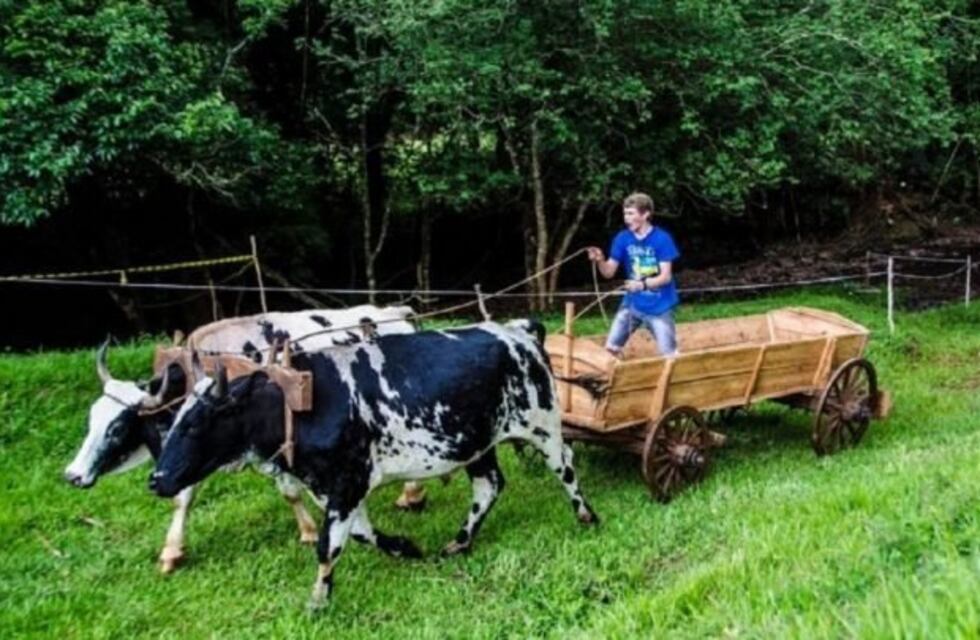 Este fin de semana se realizará la Fiesta Provincial del Carro en Alba Posse