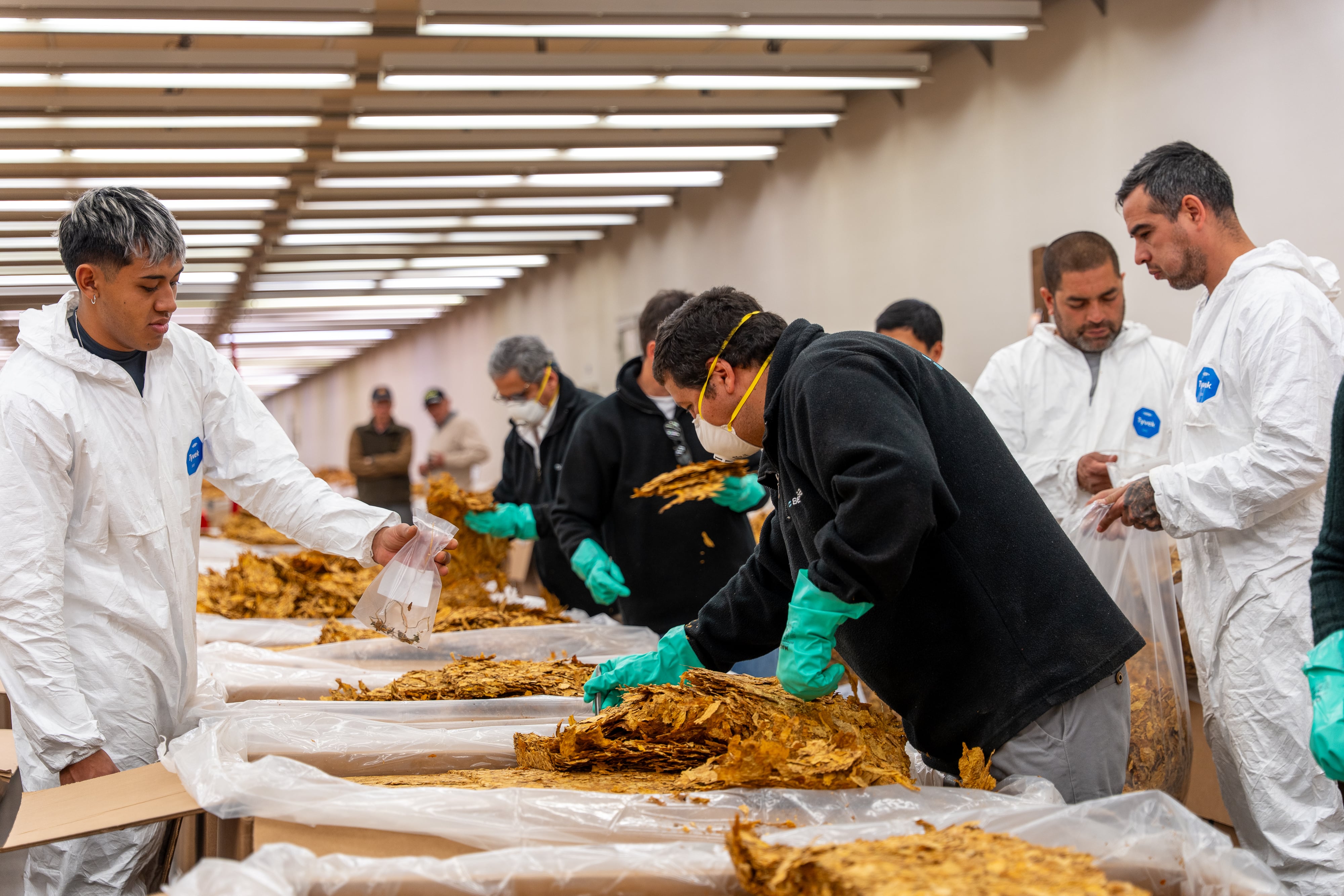 En julio pasado se realizó en la CTJ, en Perico, una jornada técnica clave para los procesos de exportación de tabaco jujeño a China.