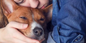 Había perdido a su perro hacía años, pero descubrió en las redes que fue rescatado y se reencontraron. (Imagen ilustrativa).