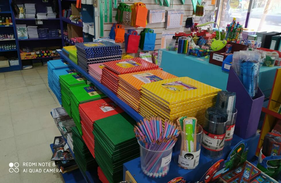 Programa de Asistencia a establecimientos educativos: importante inversión en General Pueyrredón