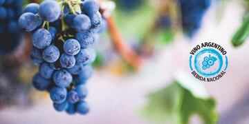 El Instituto Nacional de Vitivinicultura ofrece nuevas capacitaciones en el ámbito