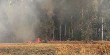 Incendios en Arroyito
