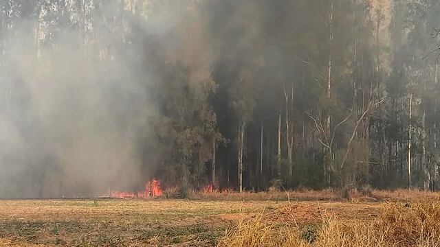 Incendios en Arroyito