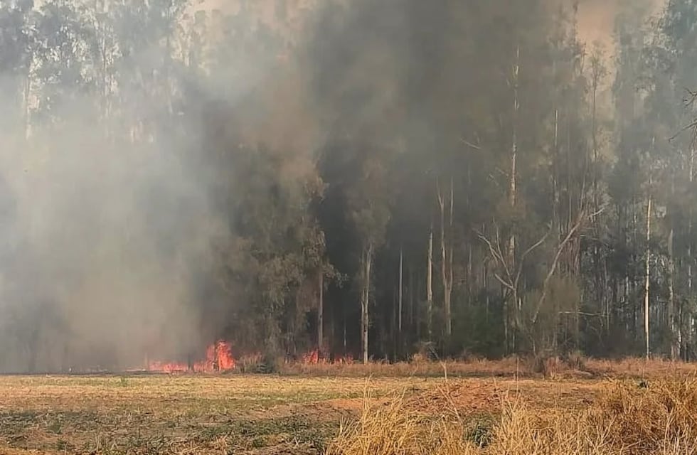 Arroyito: con condiciones muy adversas, bomberos debieron sofocar dos incendios