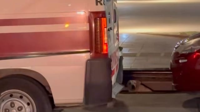 Rescate Perrito  en VCP