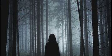 La tiktoker caminaba sola por un sendero del bosque de Bariloche. (Imagen ilustrativa).