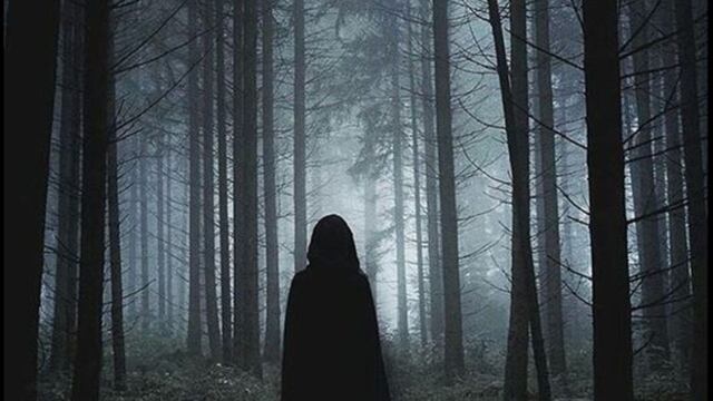 La tiktoker caminaba sola por un sendero del bosque de Bariloche. (Imagen ilustrativa).
