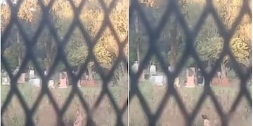 Filman a una pareja en pleno acto sexual en el cementerio de Eldorado y se desató la polémica.