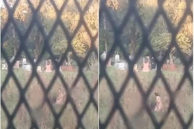 Filman a una pareja en pleno acto sexual en el cementerio de Eldorado y se desató la polémica.