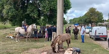 Siguen secuestrando caballos sueltos en las calles