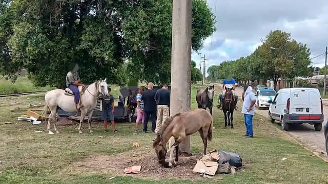 Siguen secuestrando caballos sueltos en las calles
