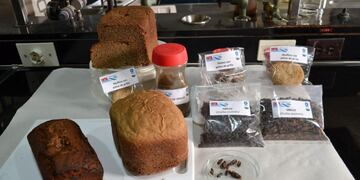 Harinas y productos con origen en insectos, en prueba en el país (Gentileza INTA)