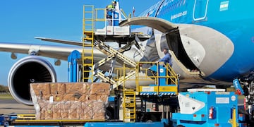 El tercer vuelo de Aerolíneas Argentinas con destino a Moscú, Rusia, podría salir este lunes.