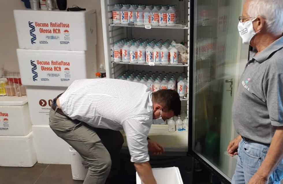 Entregaron más de 7 mil vacunas antiaftosa gratuitas a pequeños productores de Chaco