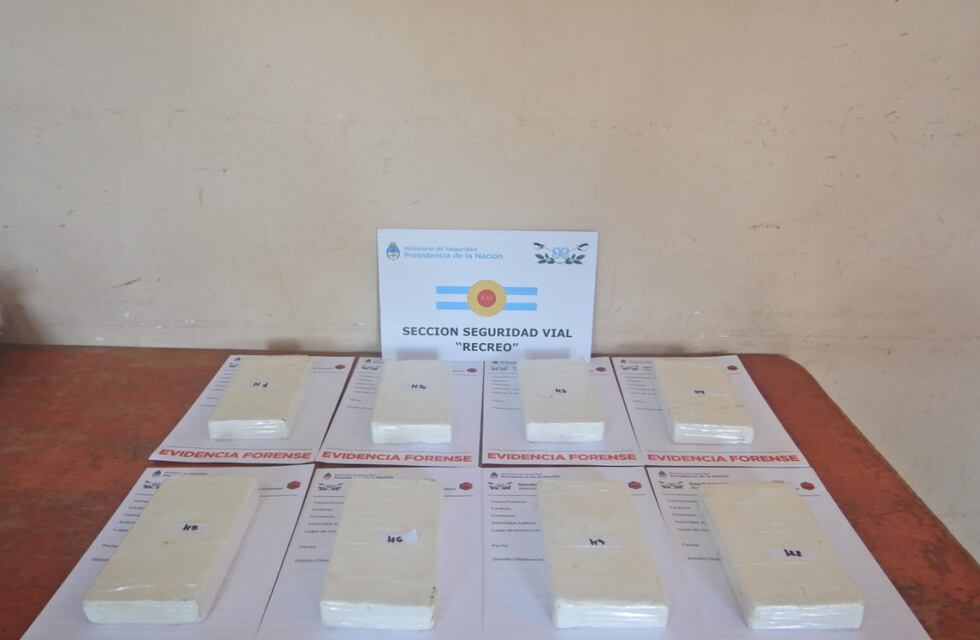 Traía más de 8 kilos de cocaína entre bolsas de papa