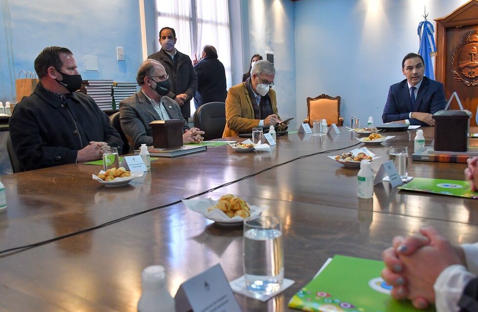 Valdés recibió a la Mesa de la Enlace y a ministros de Producción del Norte Grande