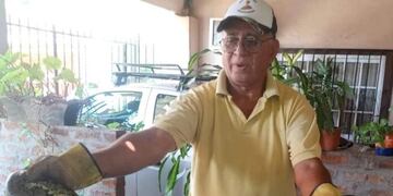 Rescatan a una serpiente de gran tamaño que apareció dentro de un auto en Posadas.