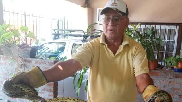 Rescatan a una serpiente de gran tamaño que apareció dentro de un auto en Posadas.