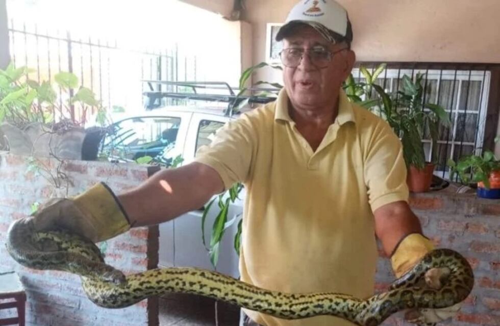 Rescatan a una serpiente de gran tamaño que apareció dentro de un auto en Posadas