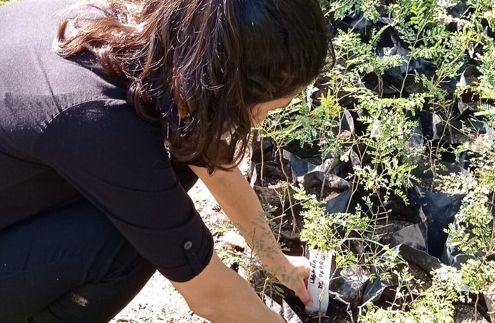 Medio ambiente: se llevó a cabo una jornada de capacitación y mantenimiento en el vivero municipal de Carlos Paz