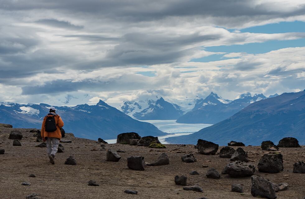 Así era el temible depredador pariente de los cocodrilos que vivió en la Patagonia