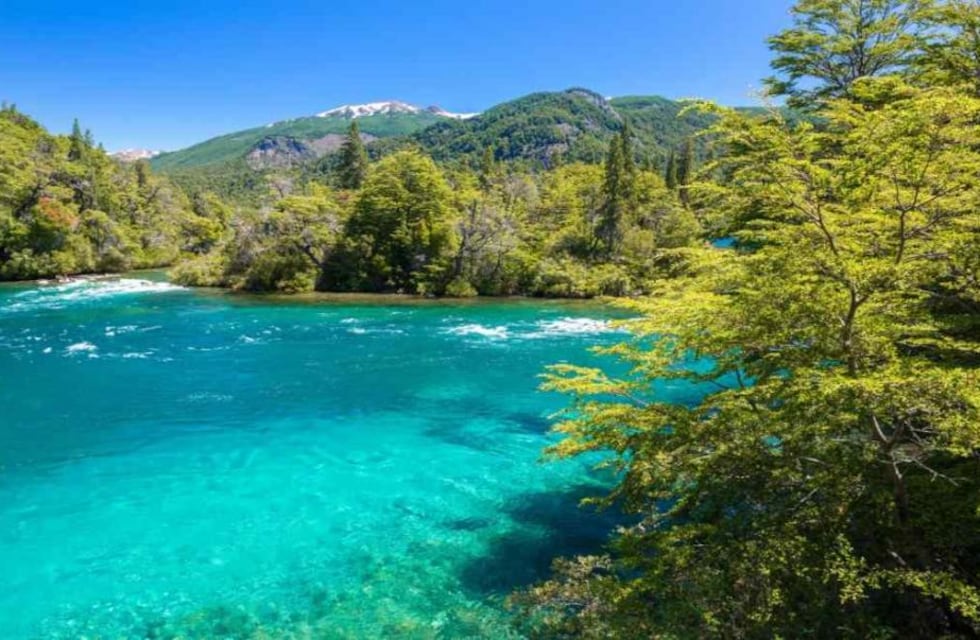 El incendio en el Parque Nacional Los Alerces logró ser controlado y se continúa trabajando en la zona