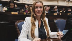 La diputada puntaltense Abigail Gómez se manifestó sobre la suspensión de las PASO en la provincia de Buenos Aires.