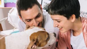 Cada vez más familias rechazan tener hijos