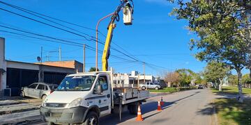 Recambio de luminarias en Avenida Ameghino