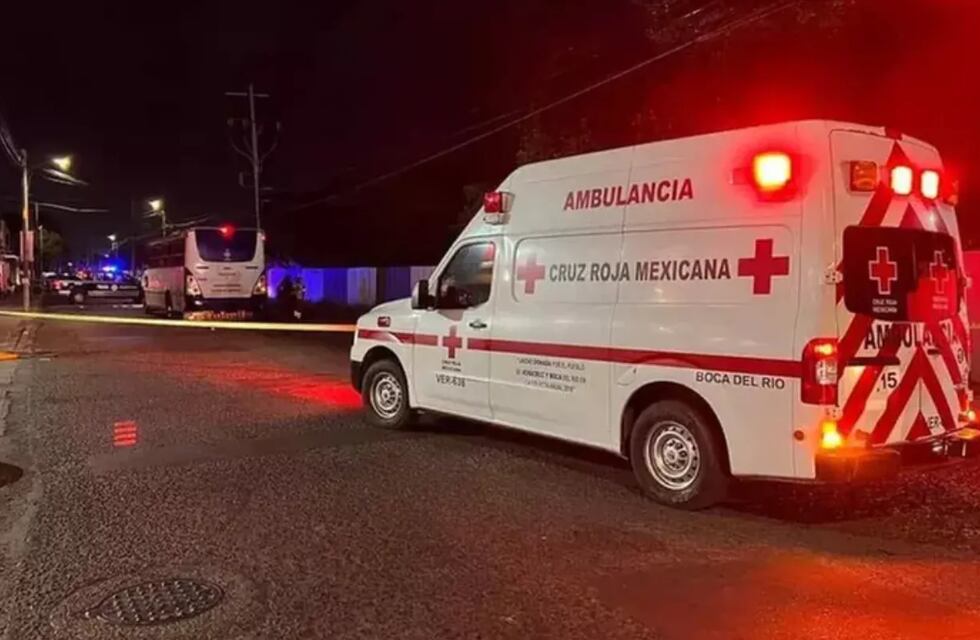 Fatal accidente en México: un nene de 7 años sacó su cabeza por la ventanilla de un micro, la golpeó contra un poste y murió en el acto