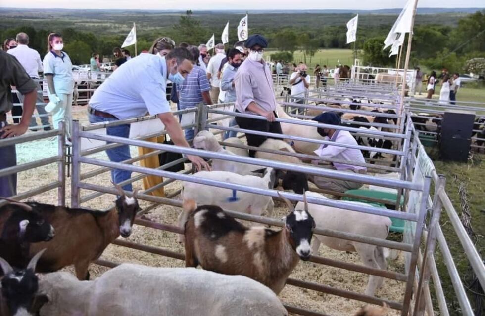Remate ganadero en Montecarlo