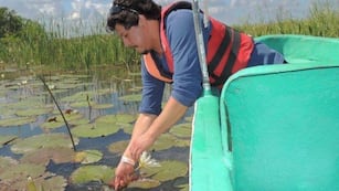 Es científico del CONICET, pero maneja un Uber para llegar a fin de mes