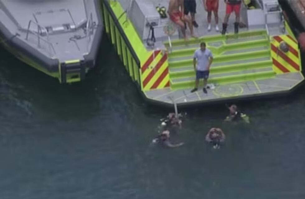 Cómo fue el momento del accidente en el que perdieron la vida las dos nenas argentinas en Miami: una era la nieta de Cris Morena