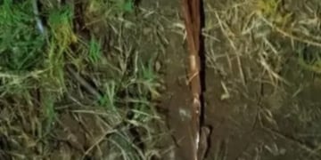 Vandalismo en San Ignacio: robaron cables y dejaron sin luz a toda la localidad.