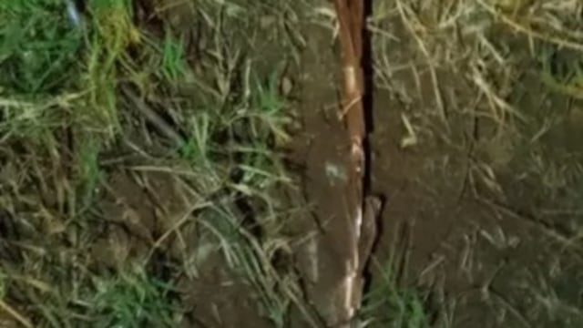 Vandalismo en San Ignacio: robaron cables y dejaron sin luz a toda la localidad.