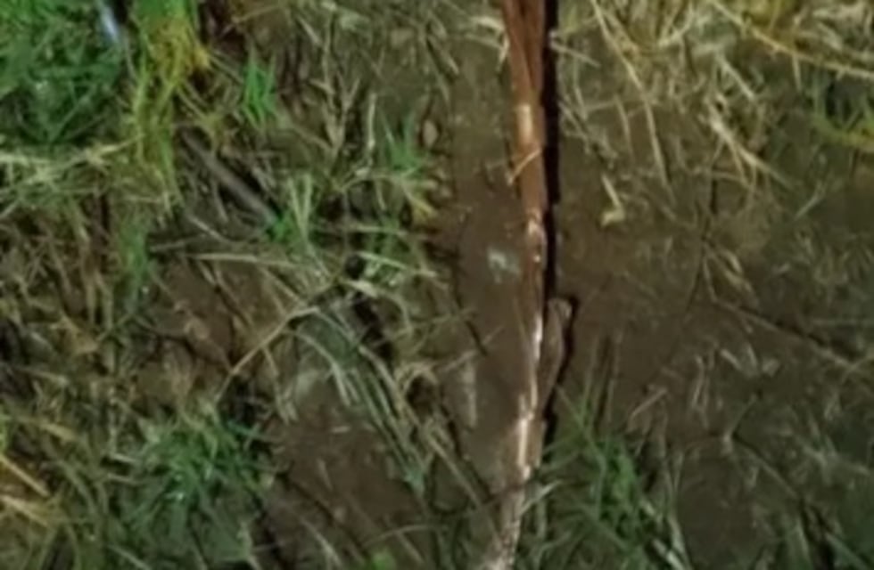 Vandalismo en San Ignacio: robaron cables y dejaron sin luz a toda la localidad