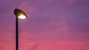 El sujeto fue desatado y trasladado al hospital en calidad de detenido.