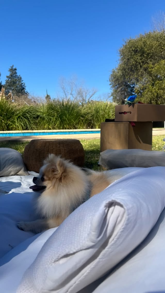 Nicki Nicole en el parque de su casa