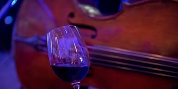 Cultura llamó a convocatoria de artistas que deseen participar del Festival Música Clásica por los Caminos del Vino. Gentileza Gobierno de Mendoza