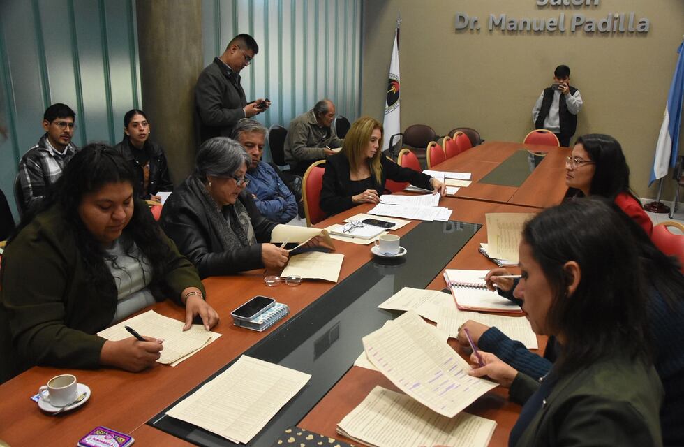 Deportes electrónicos y diversidad corporal, nuevos temas que llegan a la Legislatura de Jujuy