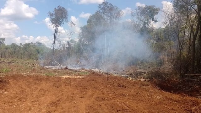 Mártires: sofocan incendio en un sector de malezas.