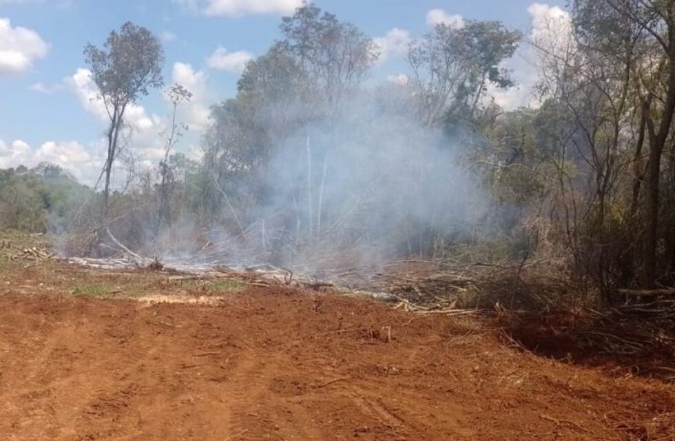 Mártires: sofocan incendio en un sector de malezas