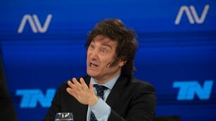 Javier Milei propone una dolarización para la economía argentina (Archivo)