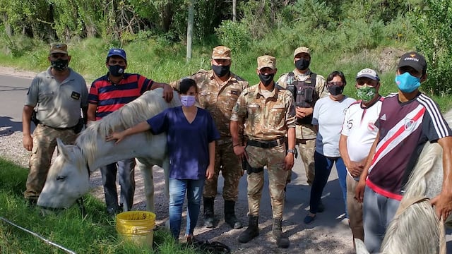 La Policía Rural dio con los animales robados a la fundación.