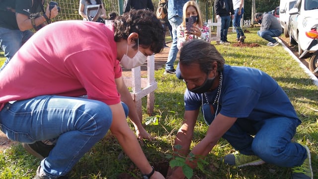 Nueva jornada de reforestación arbórea en Puerto Iguazú.