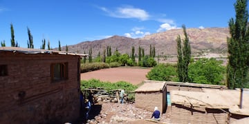 La actividad agrícola de Juella (Tilcara) celebrará su producción este sábado con el tradicional festival anual del durazno y la humita.