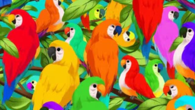 ¿Ya viste el camaleón? hallarlo en este acertijo visual en 10 segundos es un desafío que pocos resuelven.