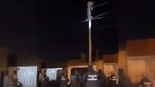 La insólita escena en la ciudad de Córdoba este jueves por la madrugada.