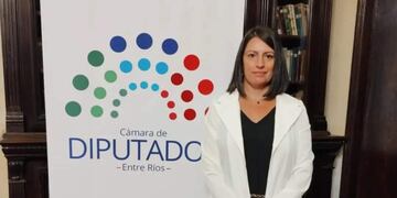 Diputada Carola Laner.