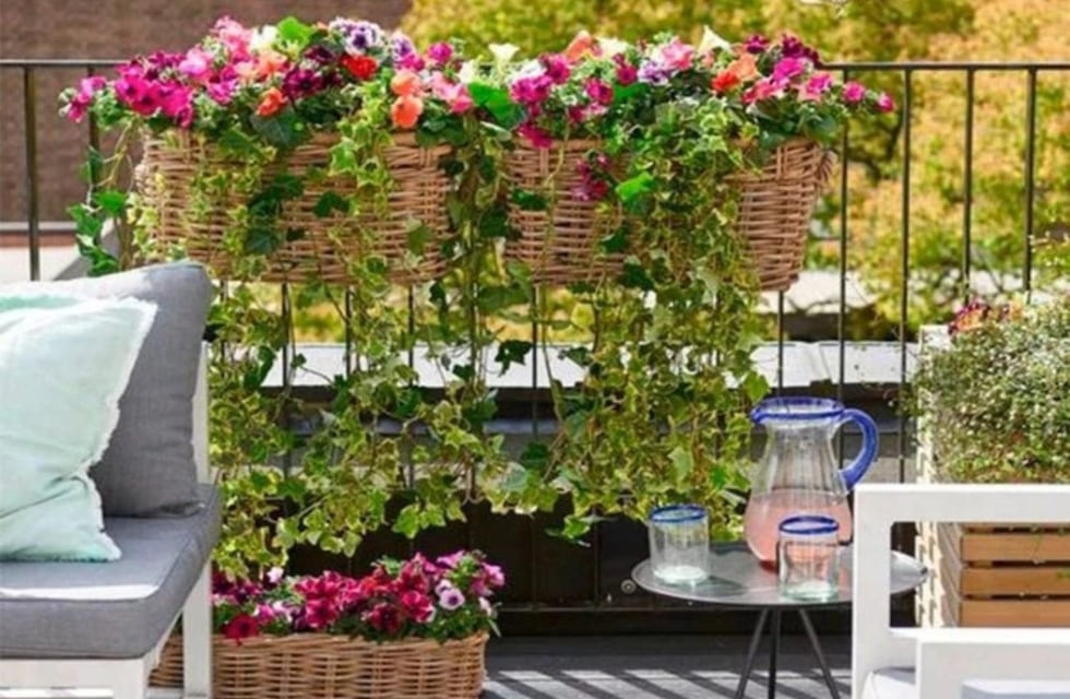 Cuáles son las 3 plantas que se siembran en octubre y son perfectas para balcones